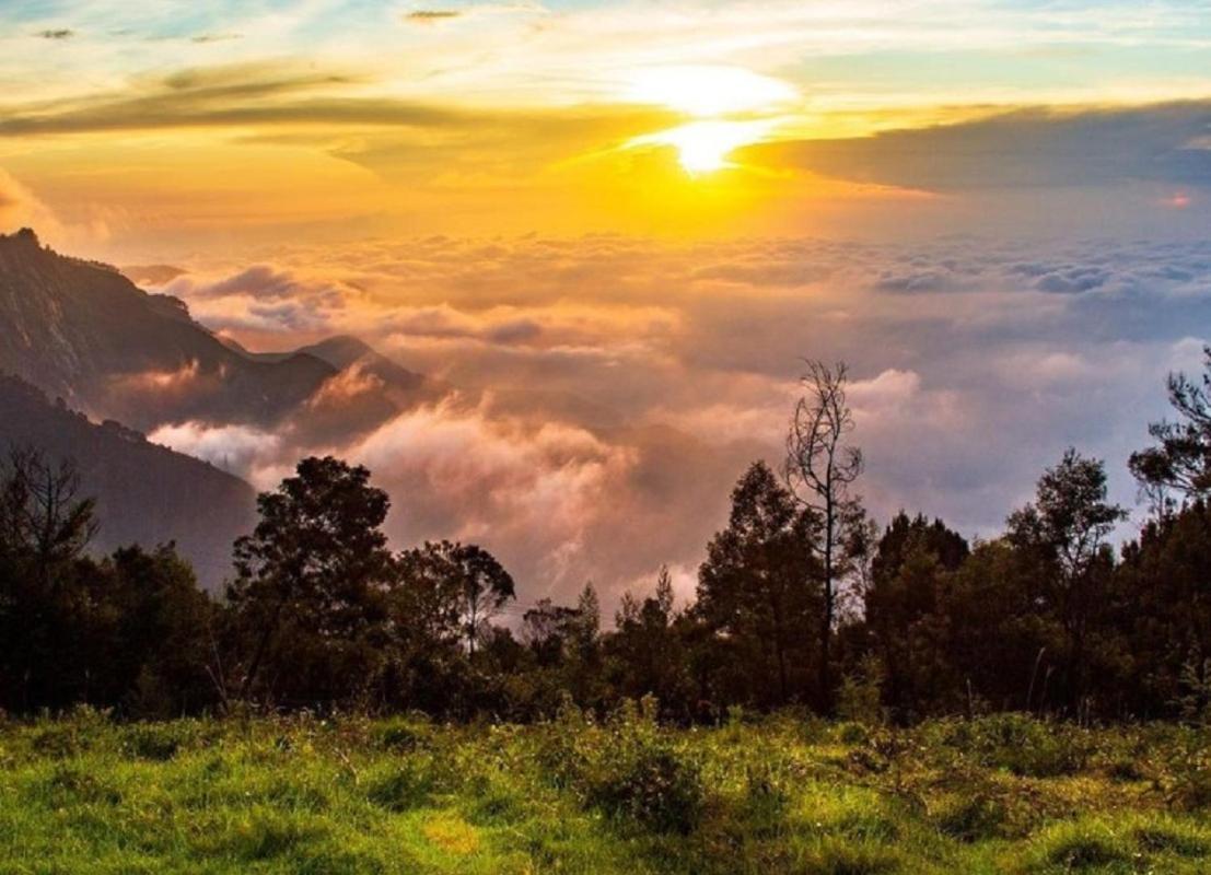 Cloud Walk Bed and Breakfast Kodaikanal Buitenkant foto
