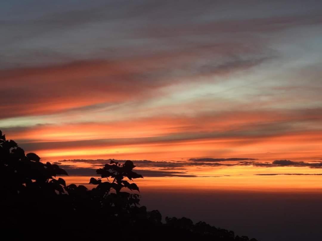 Cloud Walk Bed and Breakfast Kodaikanal Buitenkant foto