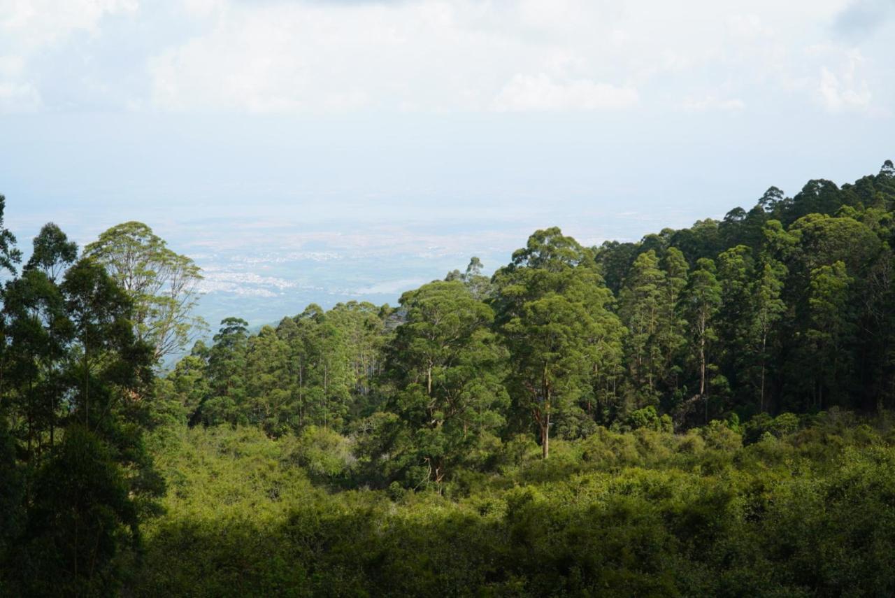 Cloud Walk Bed and Breakfast Kodaikanal Buitenkant foto